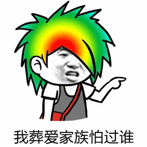 我葬爱家族怕过谁（我葬爱家族怕过谁）