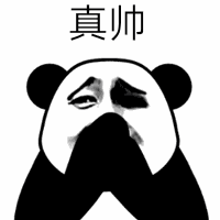真帅（真帅）