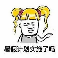 暑假计划实施了吗（暑假计划实施了吗）