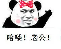 哈喽！老公！（熊猫）（哈喽！老公！（熊猫））
