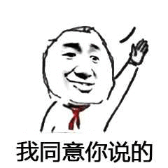 我同意你说的（我同意你说的）