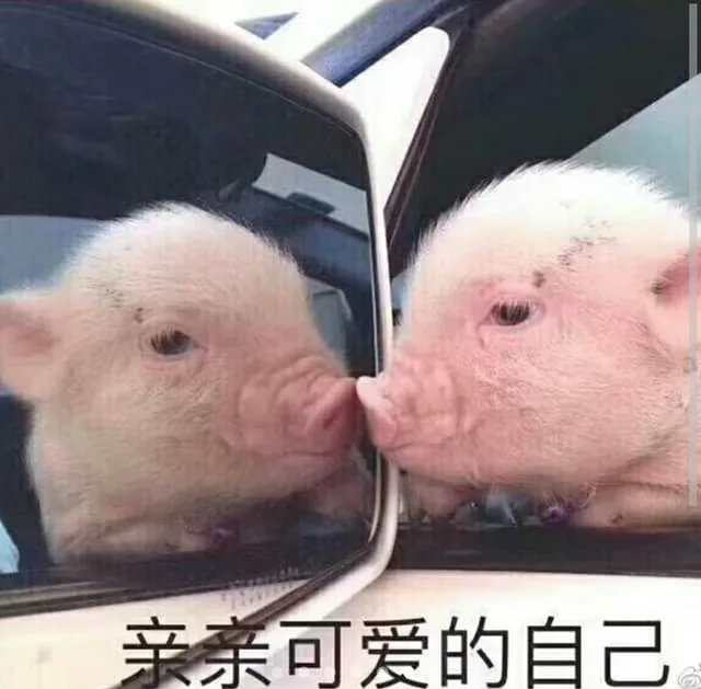 亲亲可爱的自己（亲亲可爱的自己）