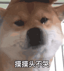 摸摸头不哭（摸摸头不哭）