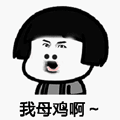 我母鸡啊（我母鸡啊）