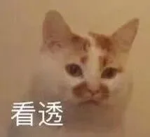 看透（看透）