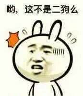 哟，这不是二狗么（哟，这不是二狗么）