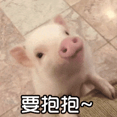 要抱抱（要抱抱）