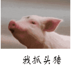我抓头猪（我抓头猪）