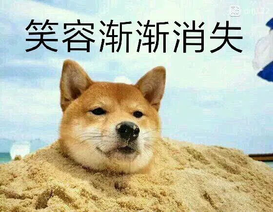 笑容渐消失（笑容渐消失）