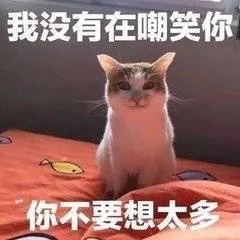 我没有在嘲笑你你不要想大多（我没有在嘲笑你你不要想大多）