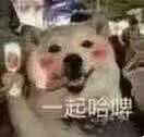 起哈（起哈）