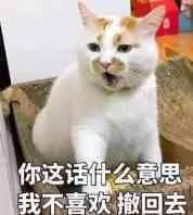 你这话优么意思我不喜欢撒回去（你这话优么意思我不喜欢撒回去）