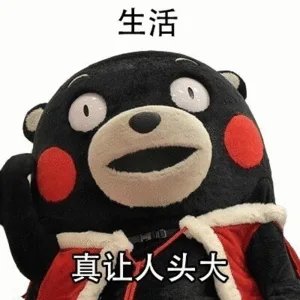 生活真让人头大（生活真让人头大）