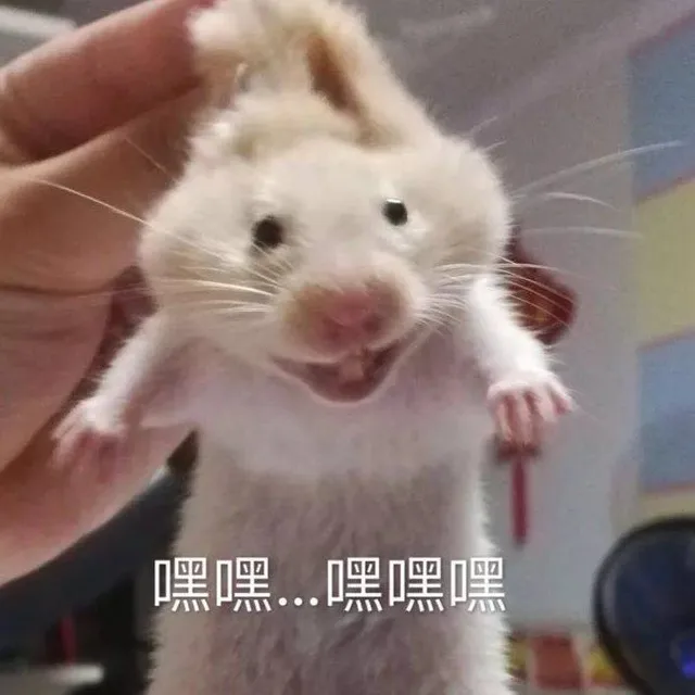 嘿嘿..嘿嘿嘿（嘿嘿..嘿嘿嘿）