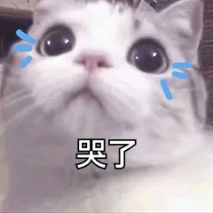 哭了（哭了）