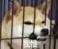 我恨（我恨）