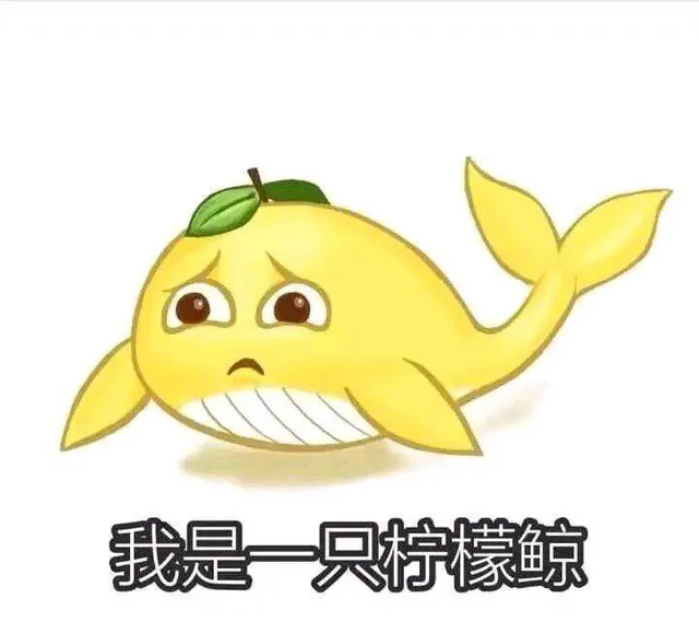 我是一只柠檬鲸（我是一只柠檬鲸）