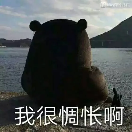 我很惆怅啊（熊本熊）（我很惆怅啊（熊本熊））