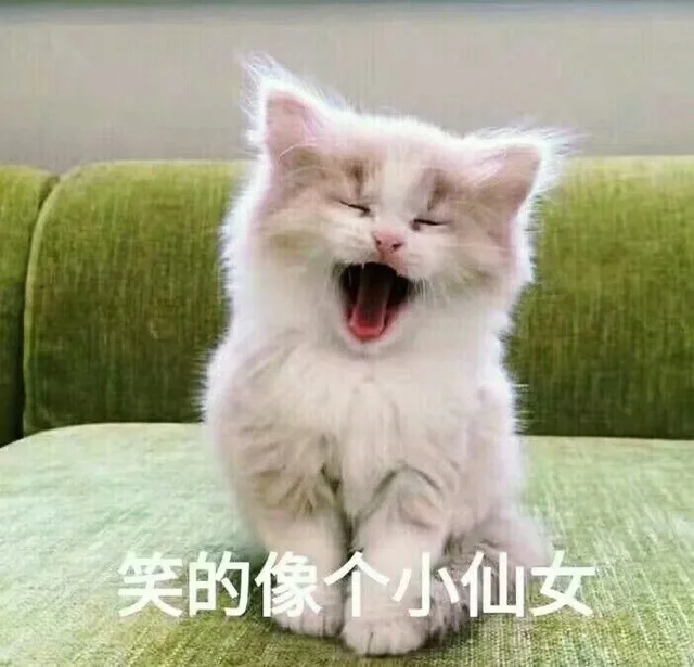 笑的信个仙女（笑的信个仙女）