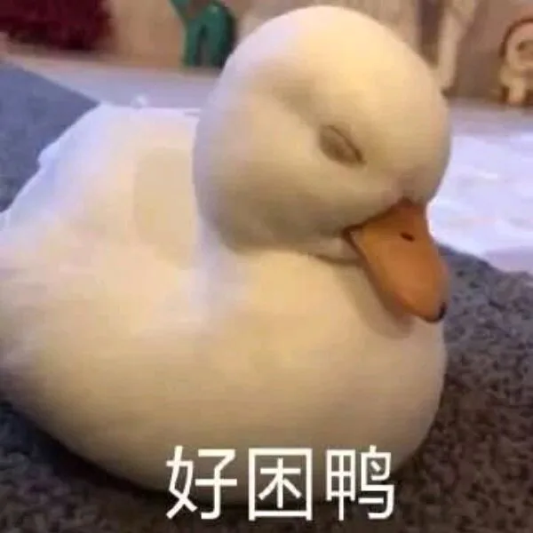 好困鸭（好困鸭）
