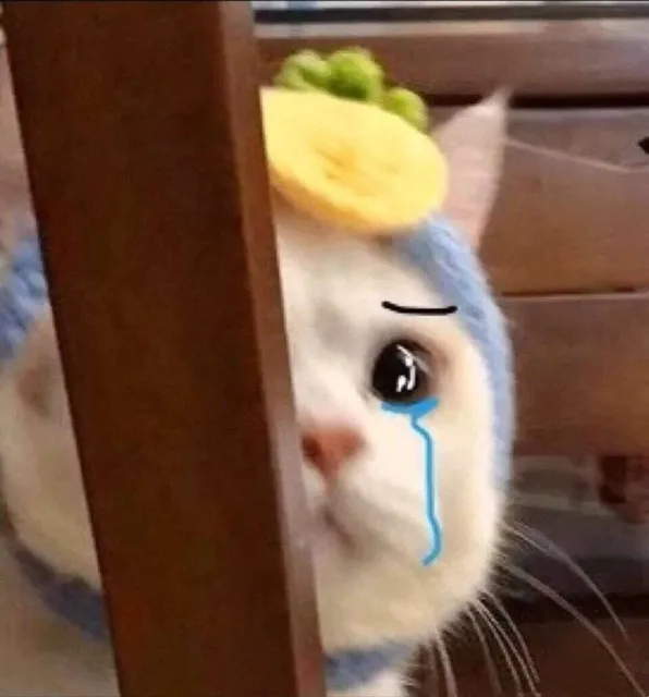 哭了小猫（哭了小猫）