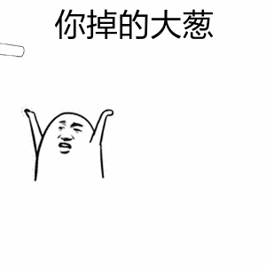 你掉的大葱（你掉的大葱）