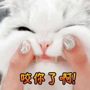 咬你了啊（咬你了啊）