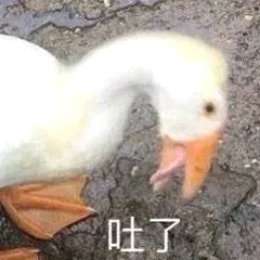吐了（吐了）