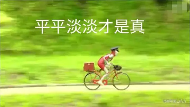 平平淡淡才是真（平平淡淡才是真）