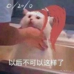 以后不可以这样了（以后不可以这样了）