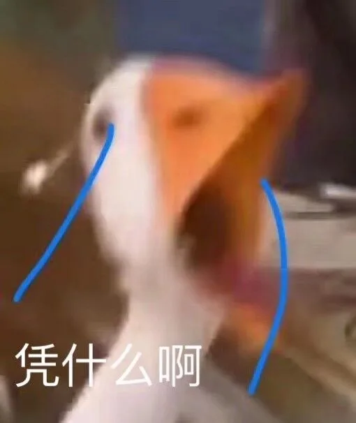 凭什么啊（凭什么啊）