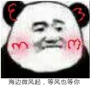 海边微风起，等风也等你（海边微风起，等风也等你）