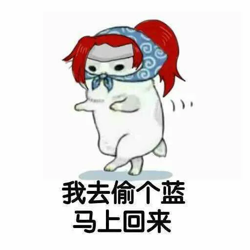 我去偷个蓝马上回来（我去偷个蓝马上回来）