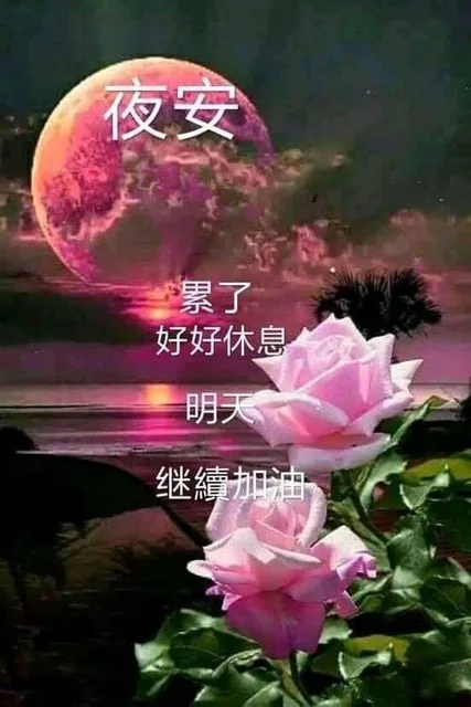 夜安（夜安）