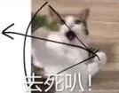 去死叭（去死叭）