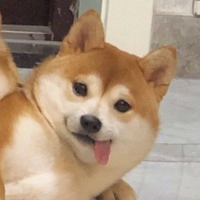 舔狗吐舌头（舔狗吐舌头）