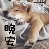 晚安（晚安）