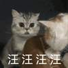 汪汪汪汪（汪汪汪汪）