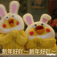 新年好吖，新年好咩！（鹦鹉兄弟）（新年好吖，新年好咩！（鹦鹉兄弟））