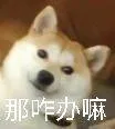 那咋办嘛（那咋办嘛）