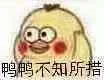 鸭鸭不知所措（鸭鸭不知所措）