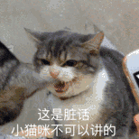 这是脏话小猫咪不可以讲的（这是脏话小猫咪不可以讲的）