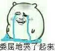 委屈地哭了起来（委屈地哭了起来）