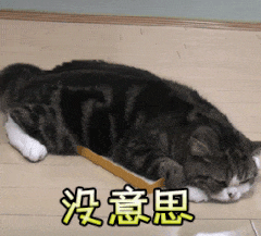 没意思（没意思）