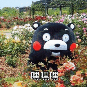 嘿嘿嘿嘿（嘿嘿嘿嘿）