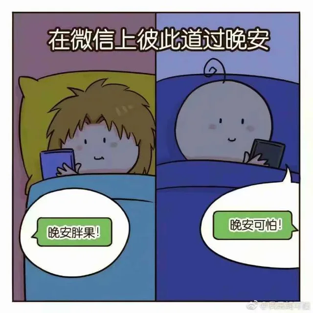 在微信上彼此道过晚安（在微信上彼此道过晚安）