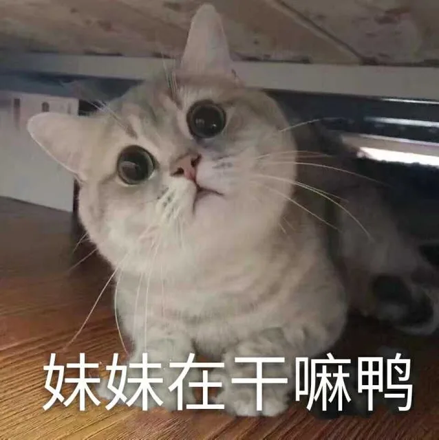 妹妹在嘛鸭（妹妹在嘛鸭）