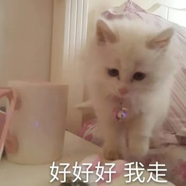好好好我走（好好好我走）