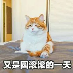 又是圆滚滚的一天（又是圆滚滚的一天）