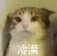 冷漠（小猫）（冷漠（小猫））